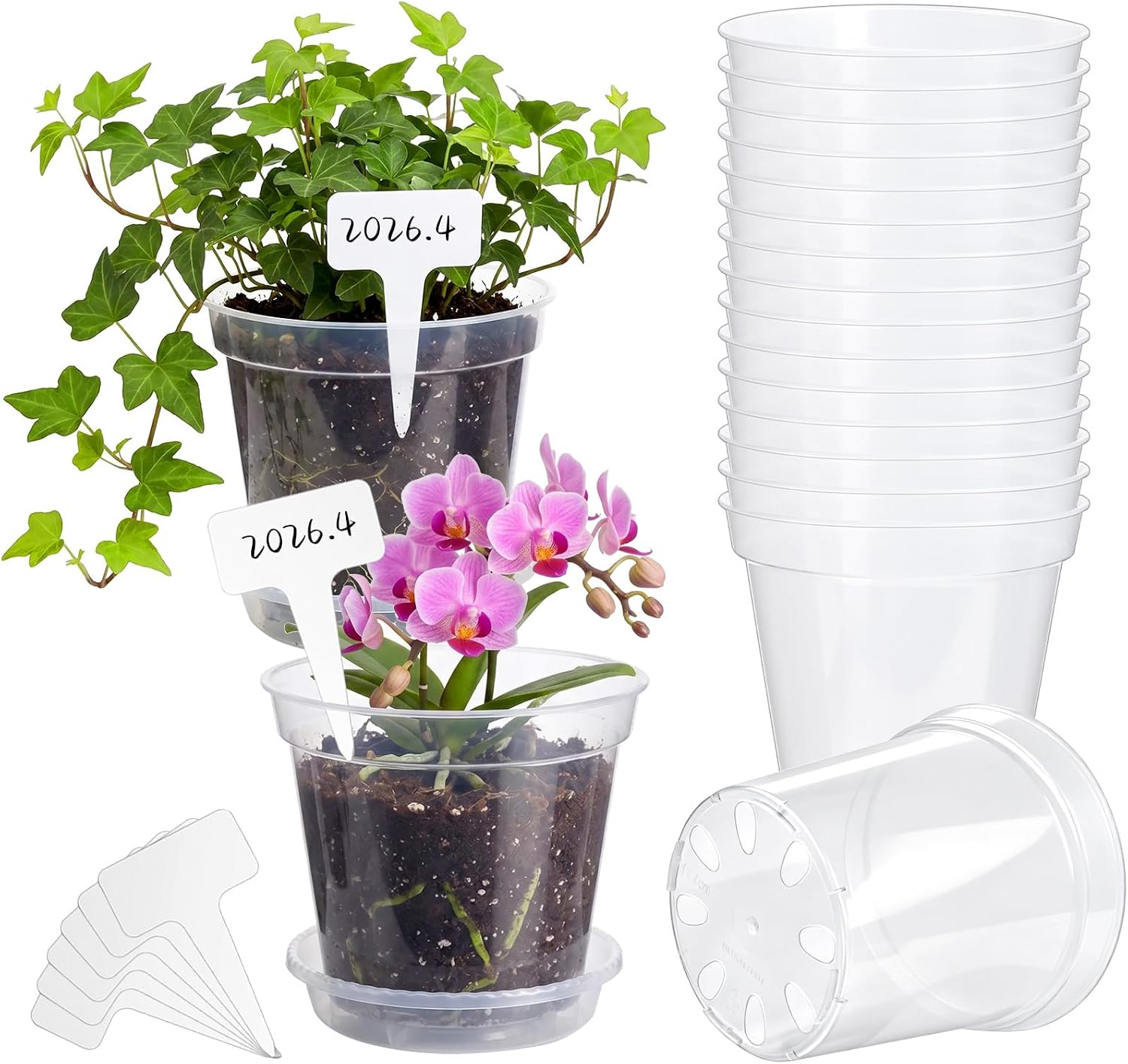 Clear Nursery Pots, 5-inch