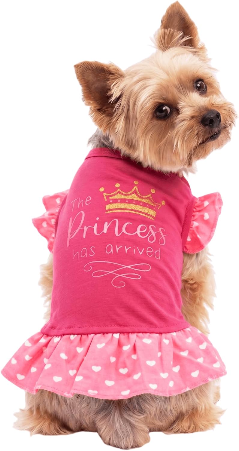 Thumbnail 5 de Small Dog Dress XS