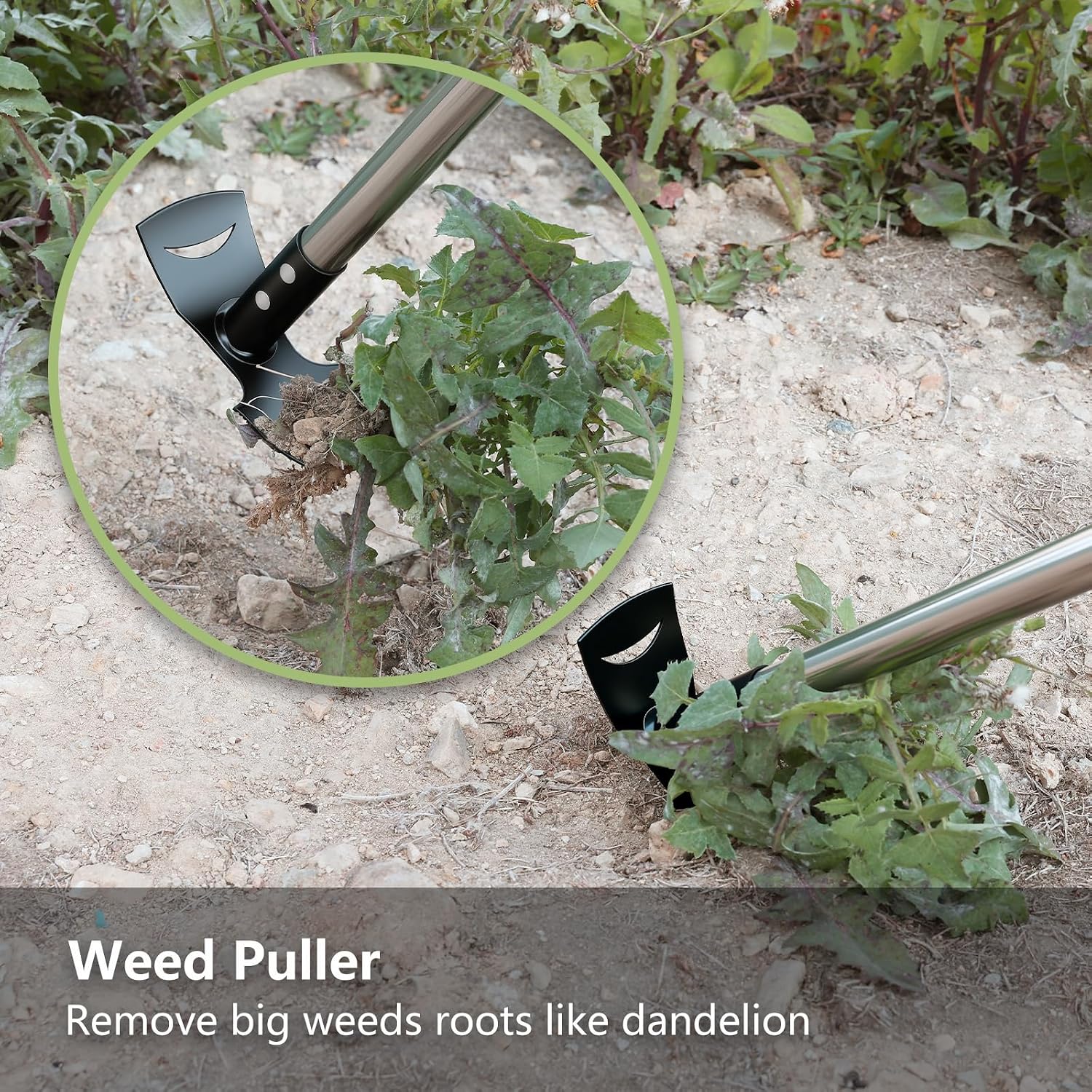 Thumbnail 5 de Mitclear Weed Puller Tool 58IN