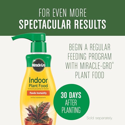 Detalle de Miracle-Gro Houseplant Potting Mix, 4 qt: A practical indoor soil for thriving tropical plants