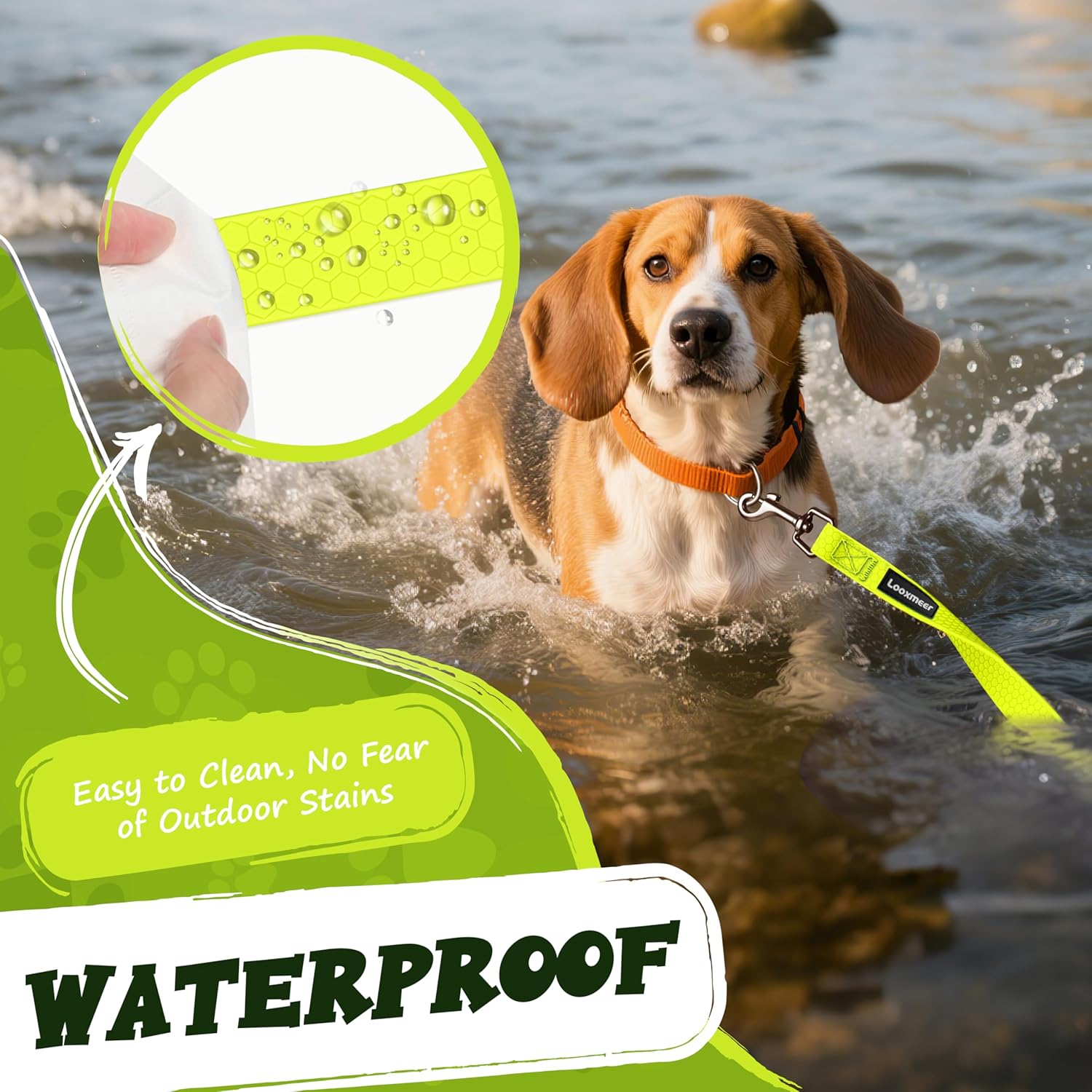 Thumbnail 4 de Schleppleine 10m für Hunde