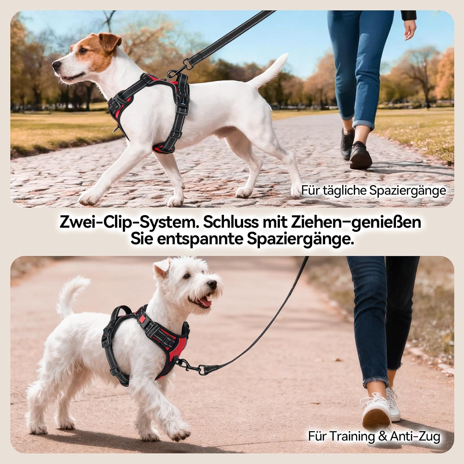 Thumbnail 3 de PHOEPET No Pull Hundegeschirr XL Rot