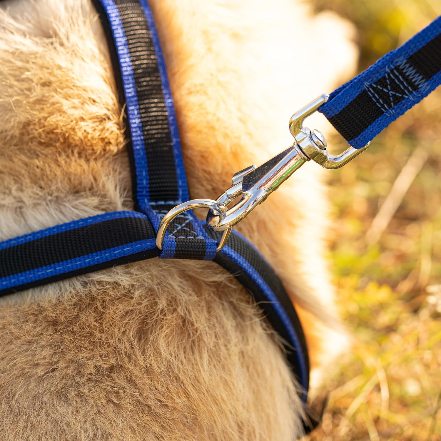 Detalle de Ferplast ERGOCOMFORT G ergonomic dog lead 120 × 2.5 cm