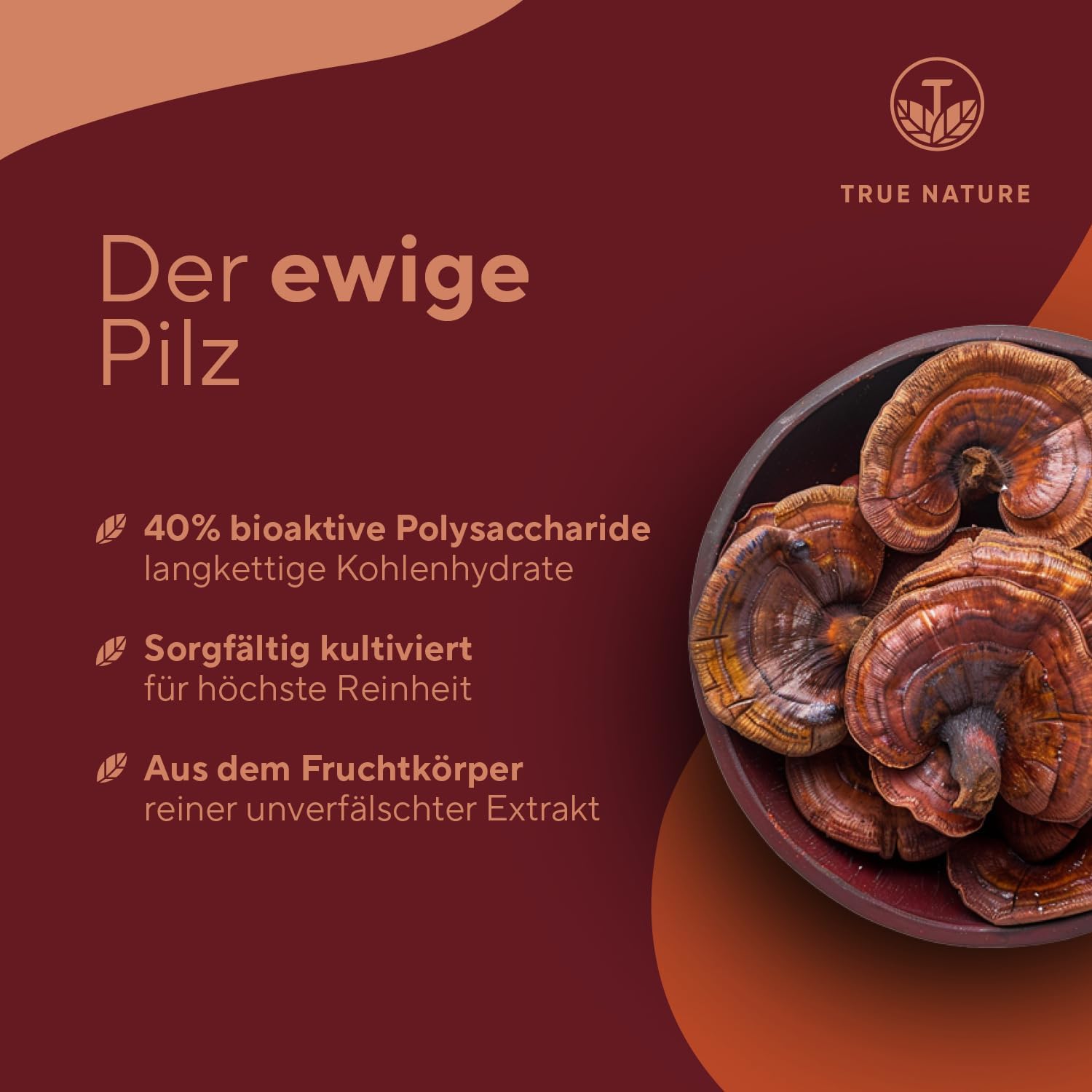 Detalle de Reishi Pilz-Extrakt – 270 Kapseln (670 mg) hochdosiert, vegan, deutsche Produktion | TRUE NATURE®