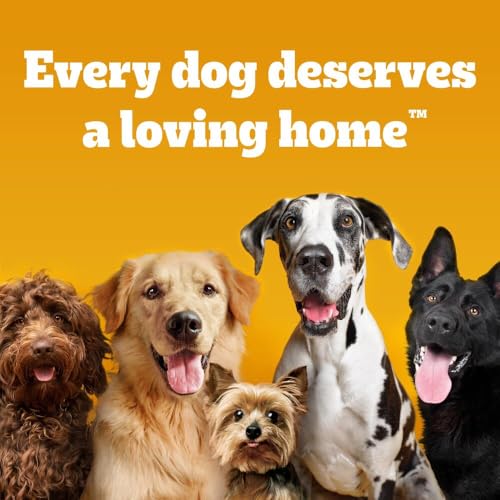 Thumbnail 10 de Pedigree Tasty Minis Adult Dog Treats Cheese & Beef Nibbles 140g – Pack of 8