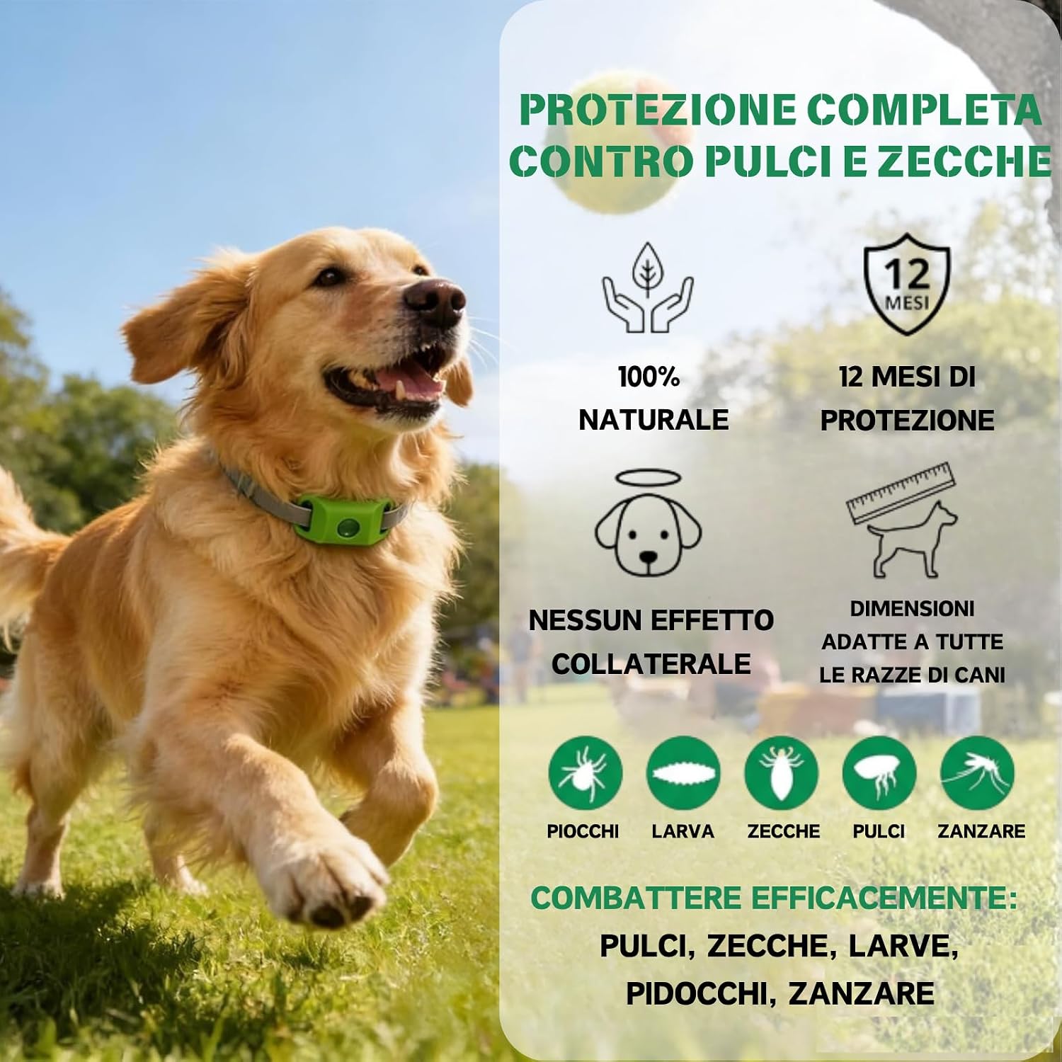 Detalle de Aquality Pets Collare Antiparassitario Naturale: protezione fino a 12 mesi per cani e gatti