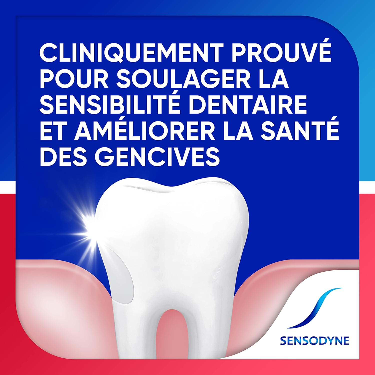 Thumbnail 5 de Dentifrice Sensibilité et Gencives Menthe 2x75ml 🌿