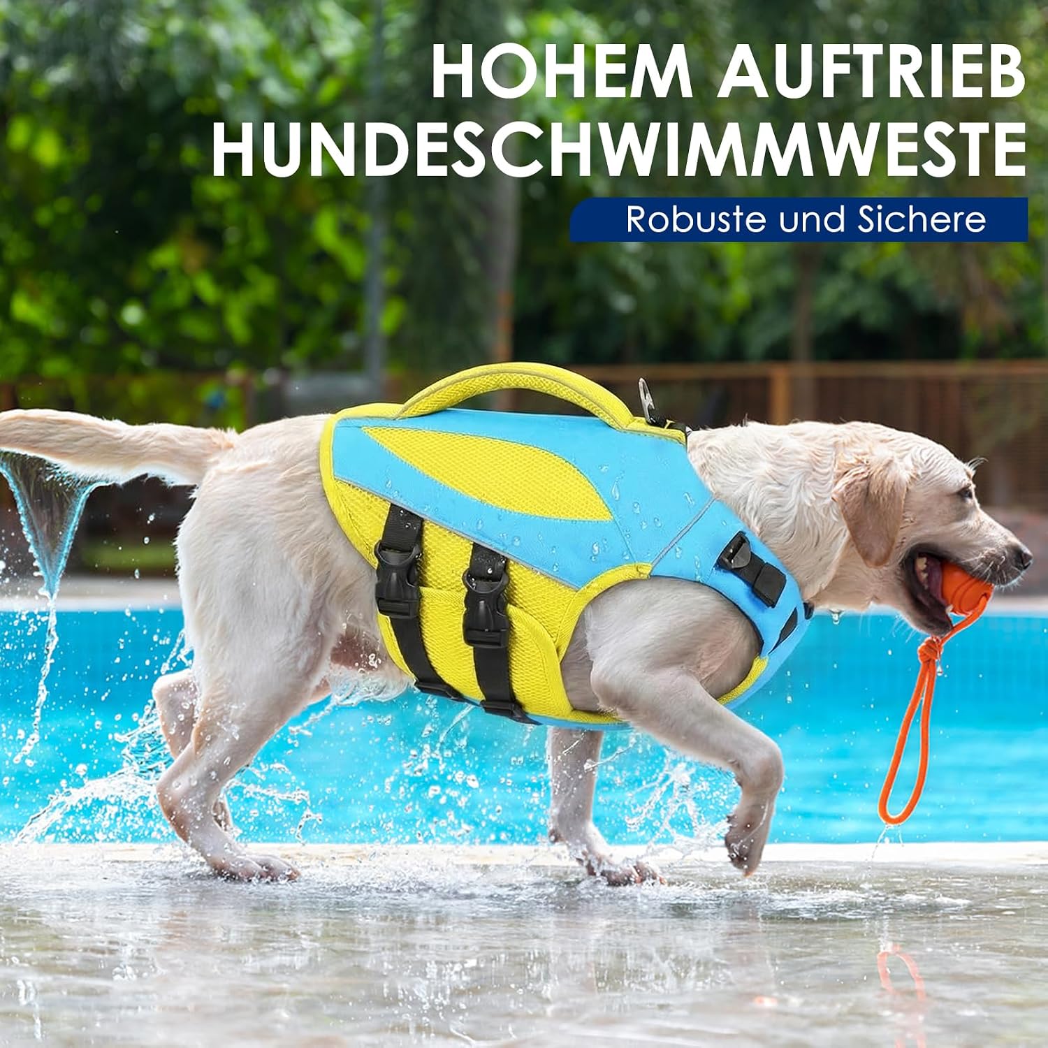 Detalle 2 de AOFITEE Hundeschwimmweste XXL – Hoher Auftrieb, verstellbar, Blau