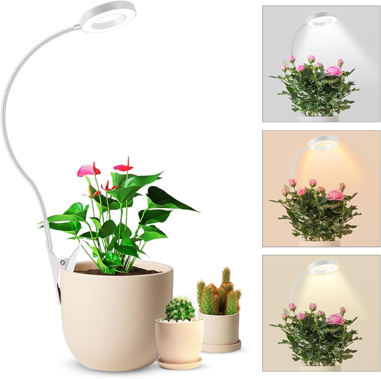 Detalle de Pflanzenlampe LED Vollspektrum 6500K