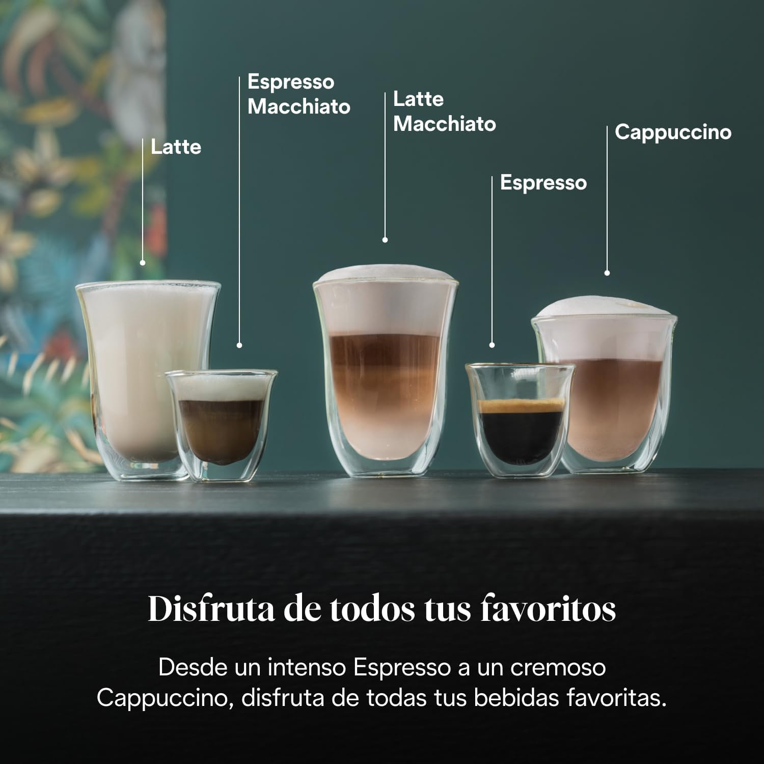 Detalle de De'Longhi Dedica EC685.BK: cafetera de bomba para espresso con espumador 360º y doble uso (café molido o monodosis)