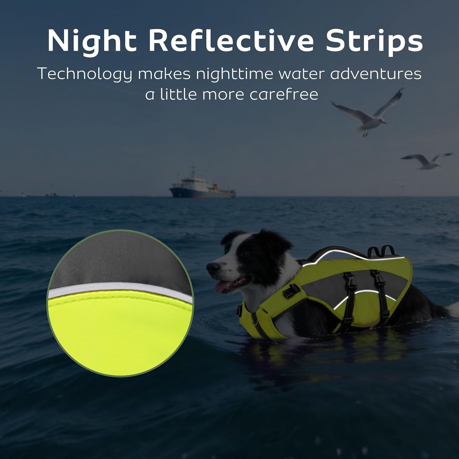 Detalle 2 de CITÉTOILE Dog Life Jacket with Handle & Reflective Strips (Green, Size L) – Buoyancy Aid Vest for Water Activities