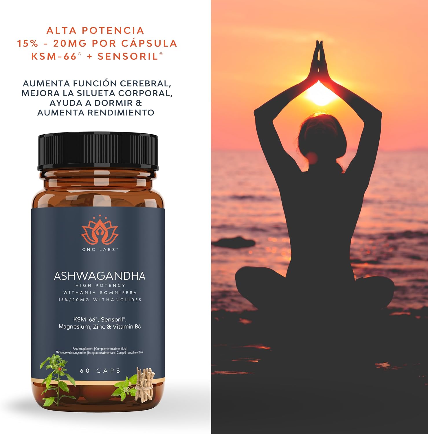 Detalle 2 de Ashwagandha KSM-66 con Sensoril 2 meses