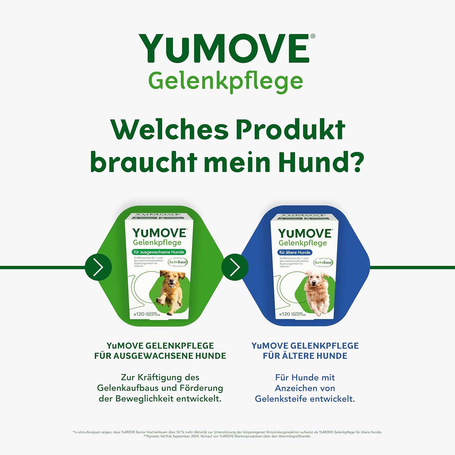 Thumbnail 6 de YuMOVE Gelenktabletten Hund 120 Stück (8+ Jahre) mit ActivEase Grünlippmuschel, Glucosamin & Omega-3