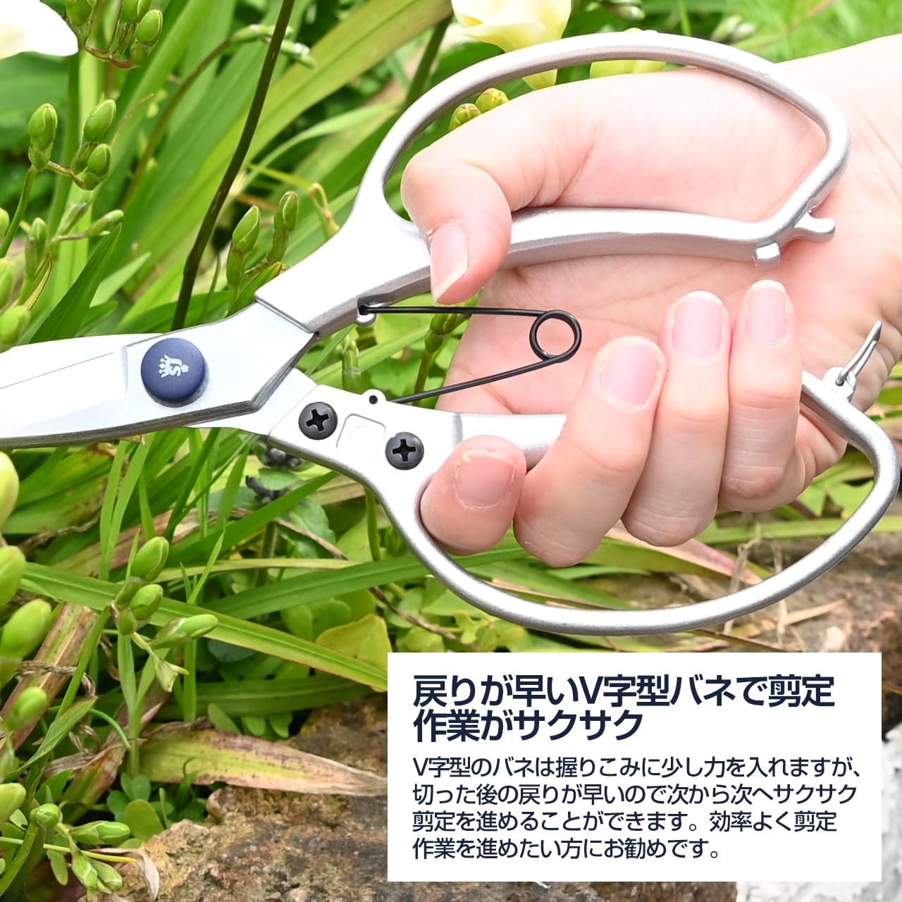 Thumbnail 6 de Spear & Jackson 4452JS Ciseaux de style japonais Razorsharp