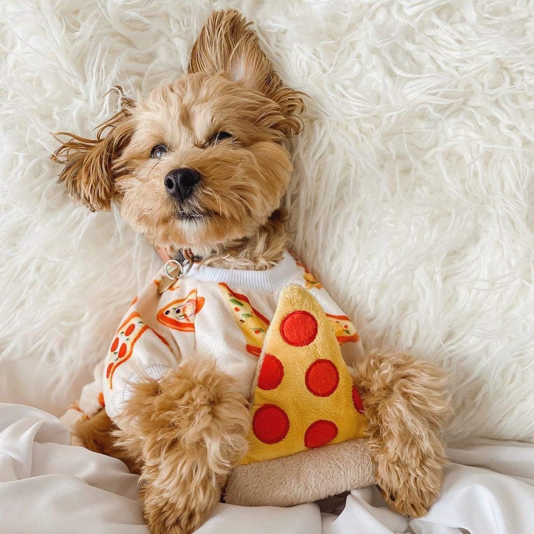 Detalle de CuteBone Dog Pajamas P55L