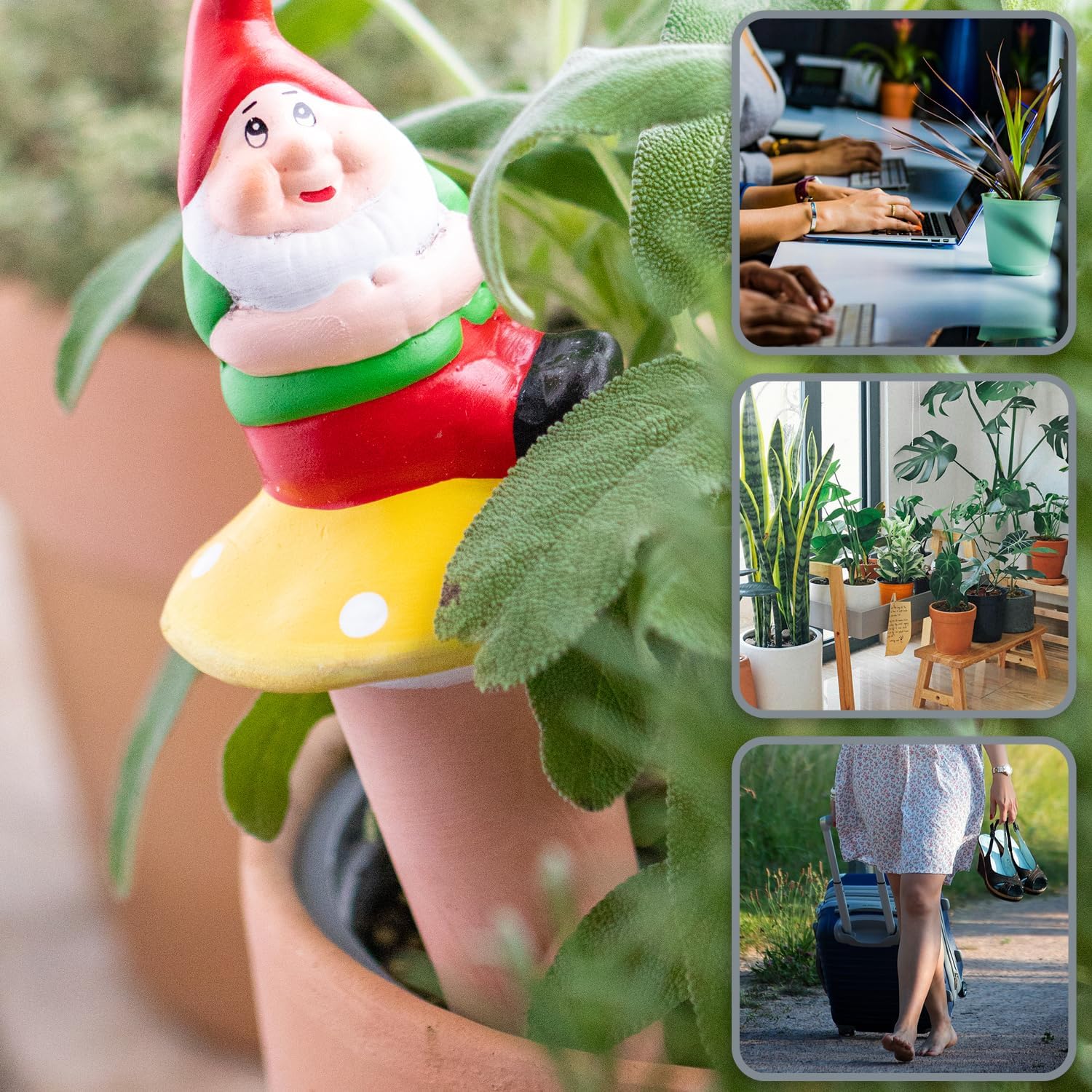 Detalle de COM-FOUR® 3x irrigazione automatica per piante d'appartamento con coni di argilla