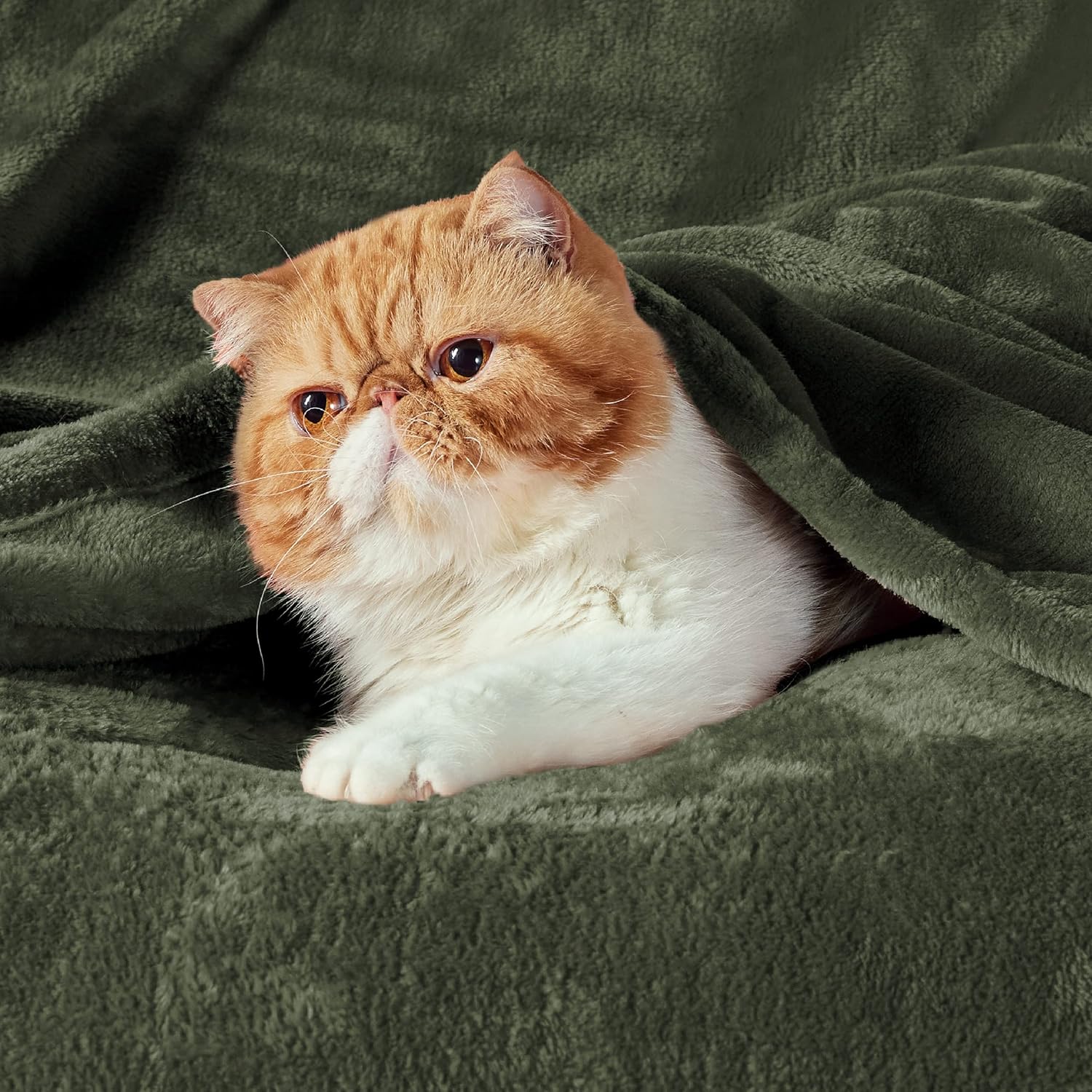 Thumbnail 1 de BEDSURE Kuscheldecke Flauschig Decke 220x240cm – Olivgrün, weiche Mikrofasedecke für Sofa & Bett