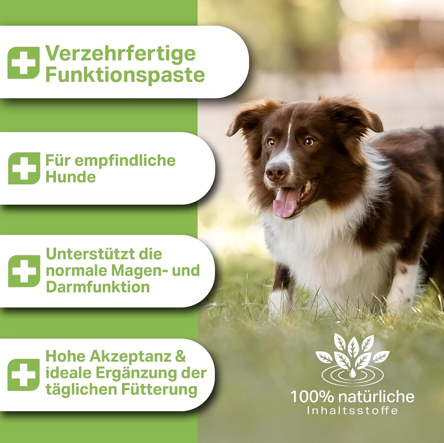 Detalle de MEDIDOG 500g Premium Ulmenrinden-Paste für Hunde – sofort verzehrfertig mit Slippery Elm Bark