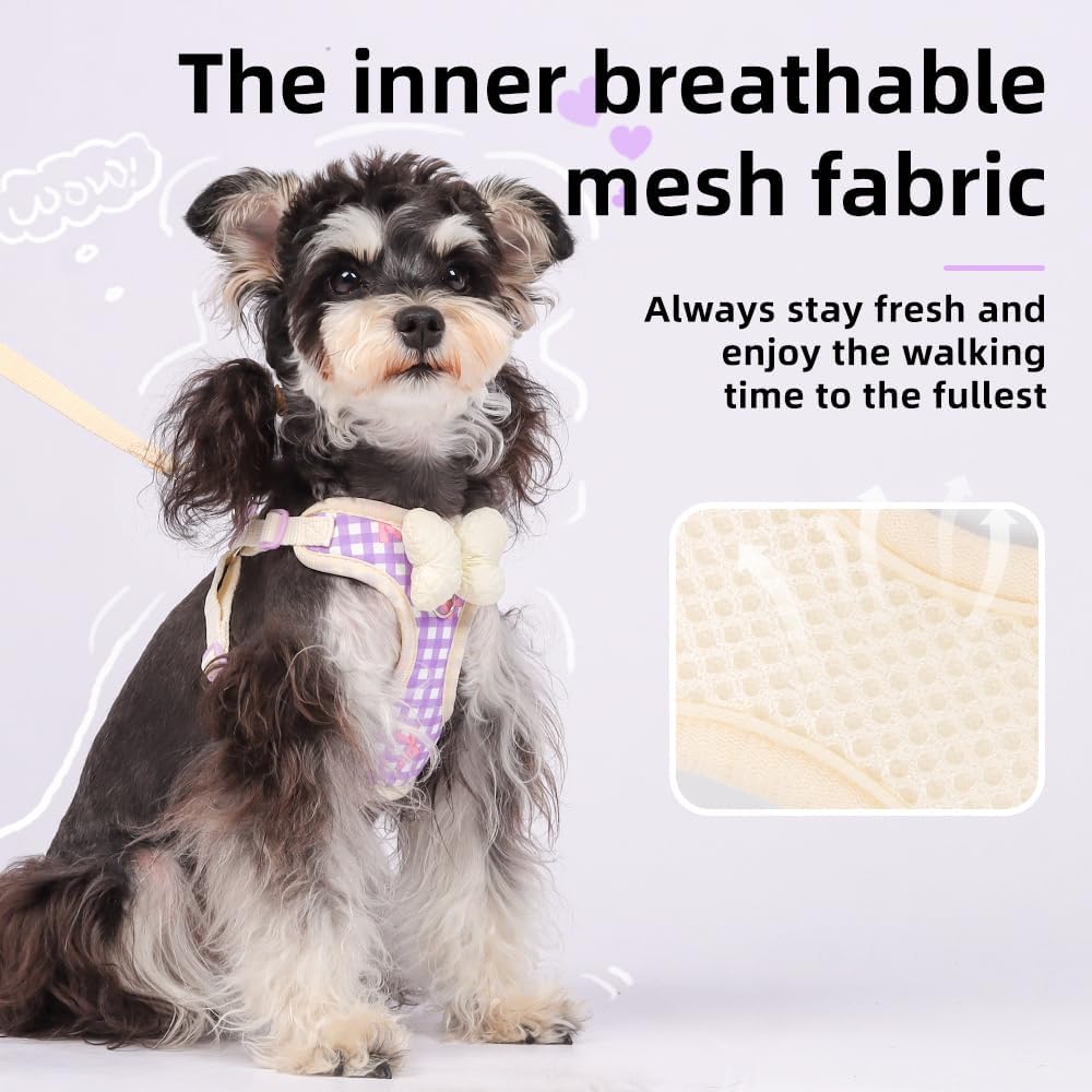 Detalle 2 de MAJIAYU Dog Harness and Leash Set, S