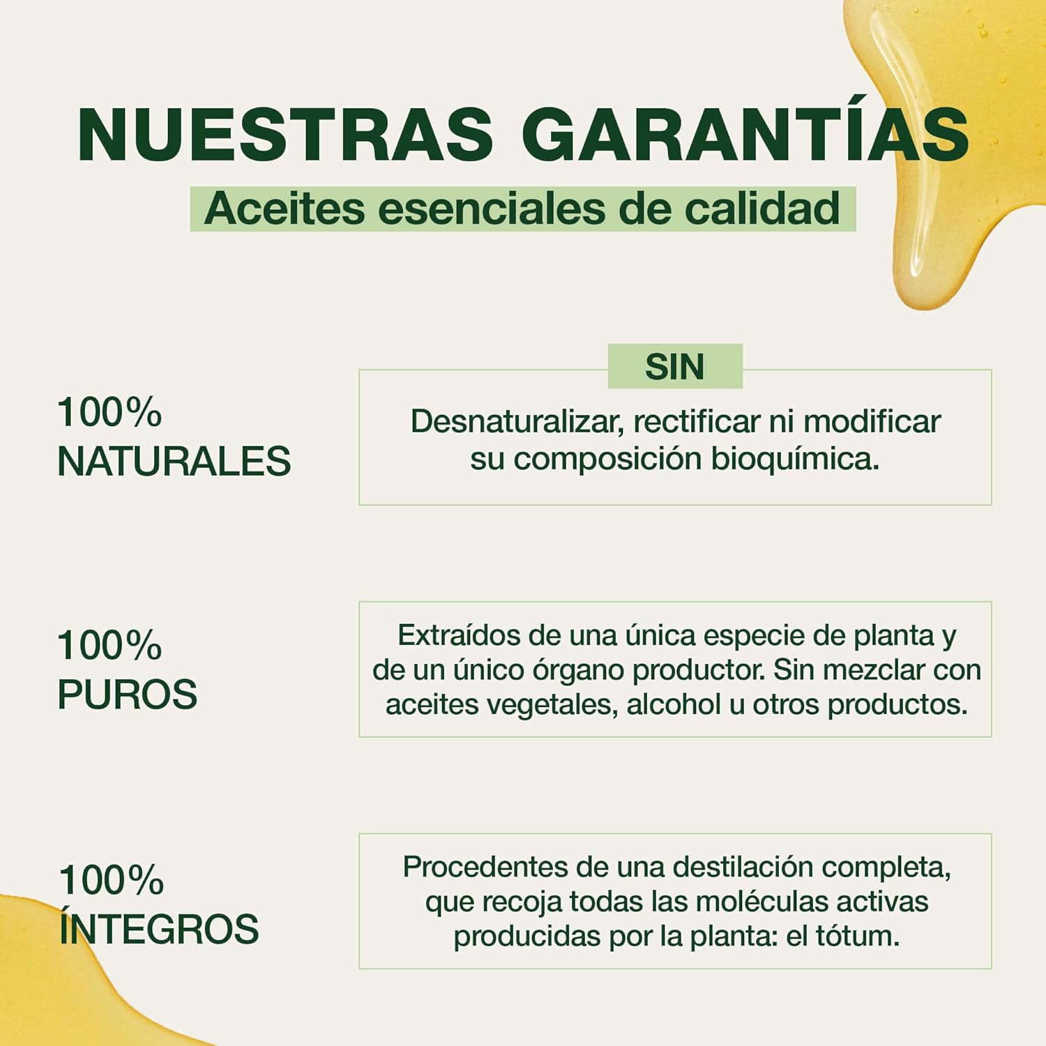 Thumbnail 2 de PRANAROM Aromaforce Jarabe Respiratorio 🌿 150ml