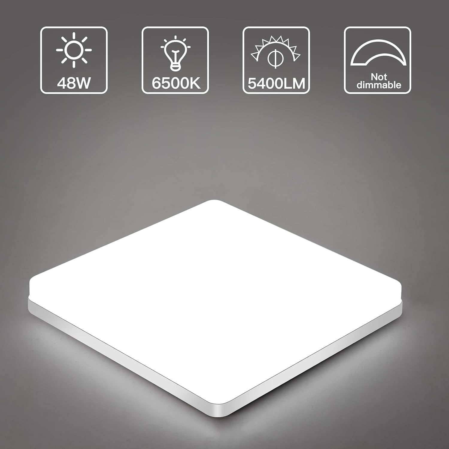 Thumbnail 2 de Riserva RVDE-24 vierkante led-plafondlamp, 48 W, 6500 K, IP44