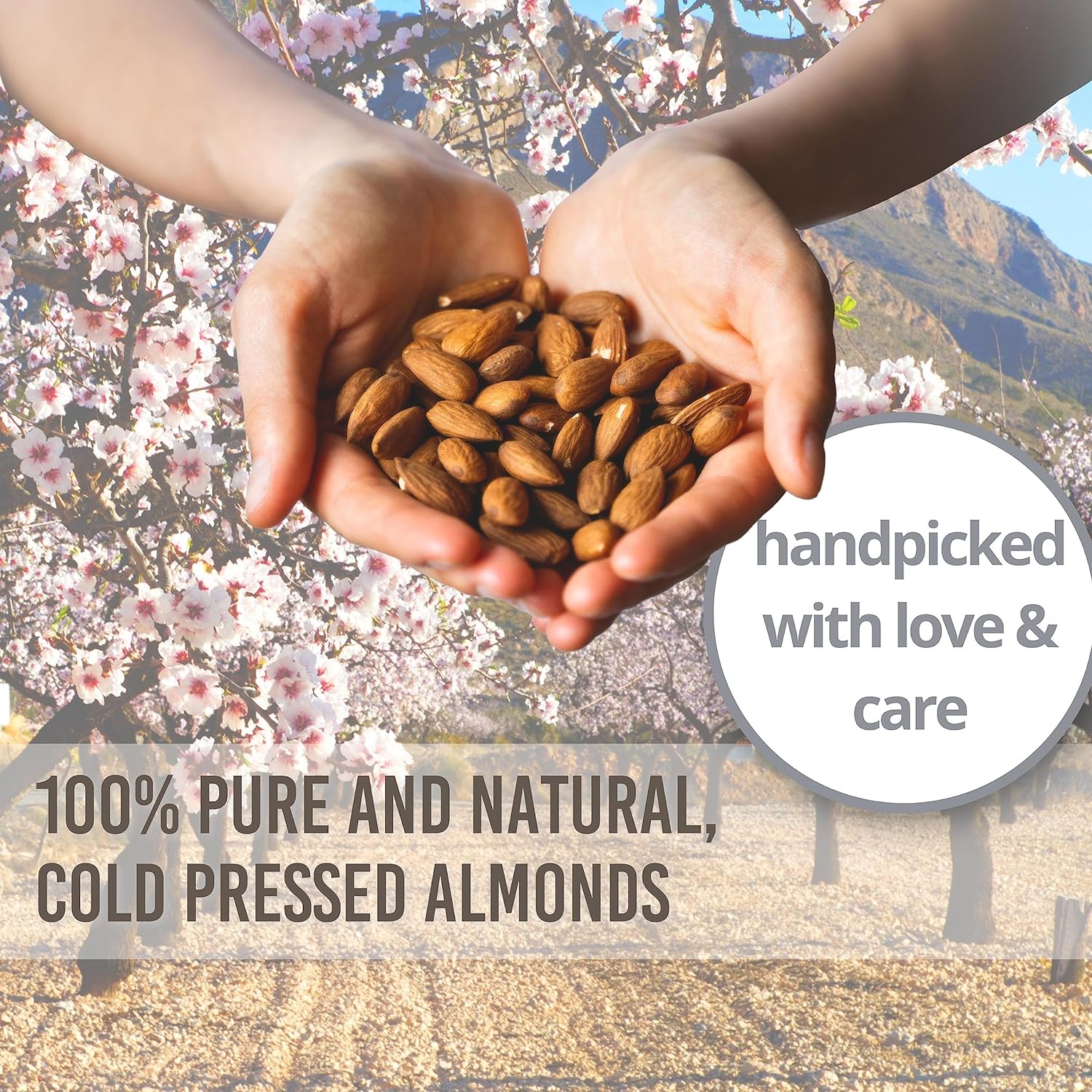 Thumbnail 5 de Essentially KateS Sweet Almond Oil 16.9 oz