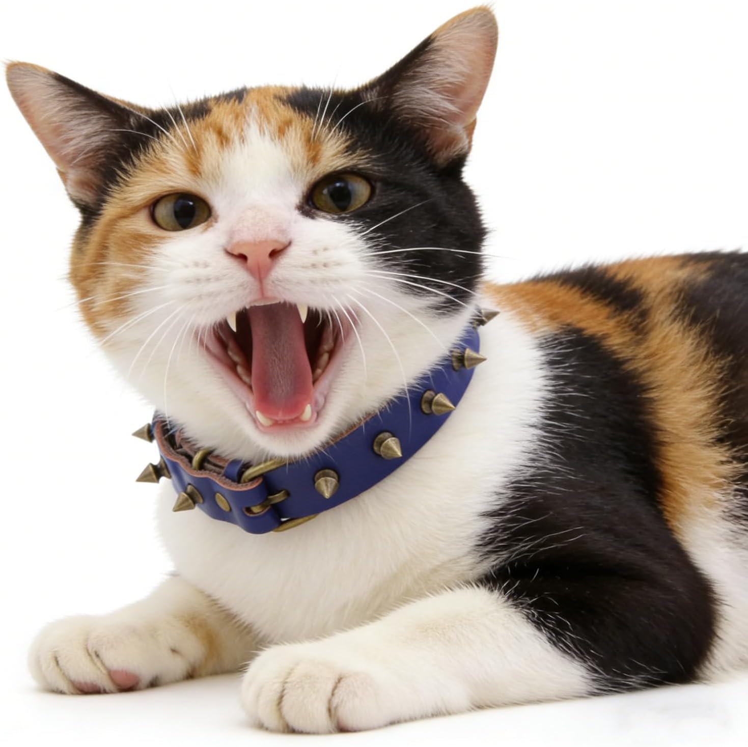 Detalle de Dog Collar, Small