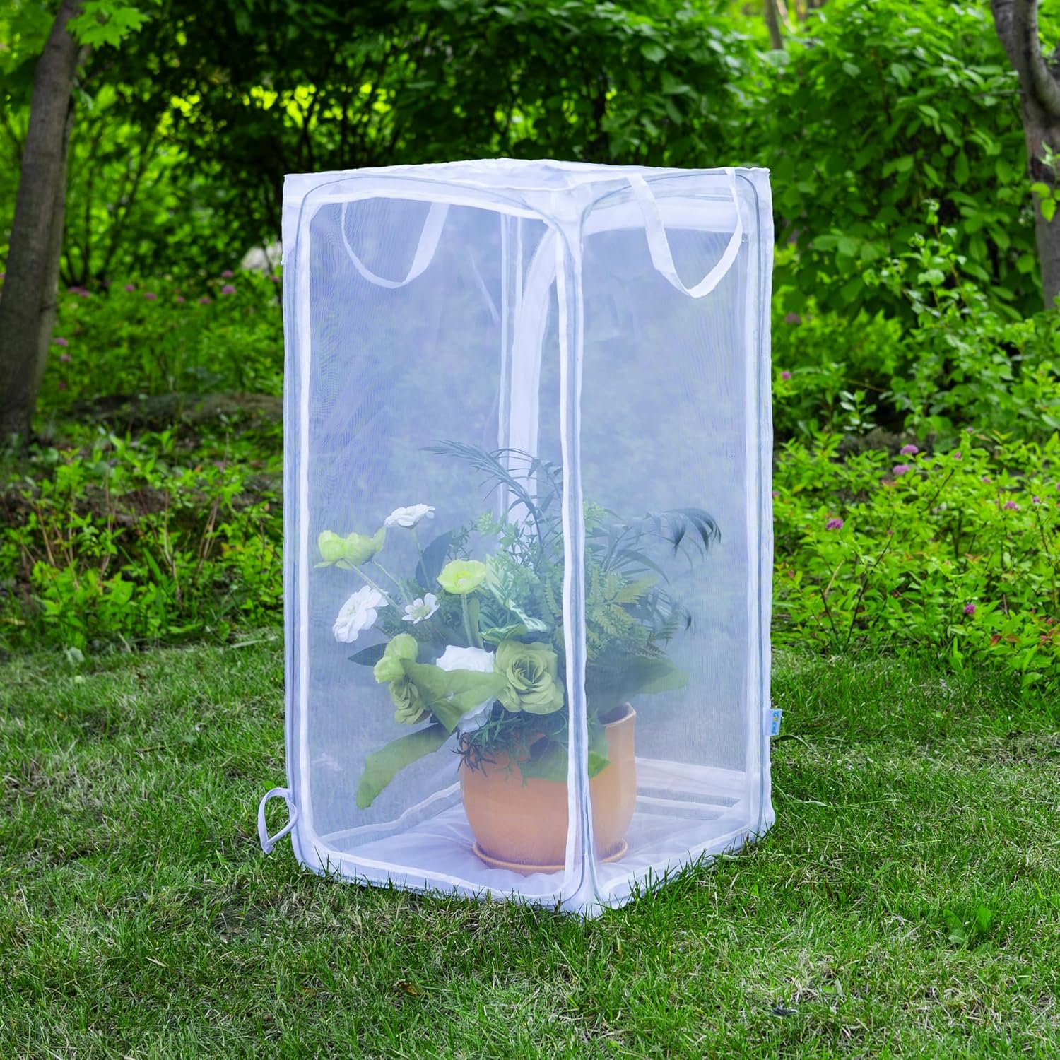 Detalle 1 de Large 30" Monarch Butterfly Cage 🦋