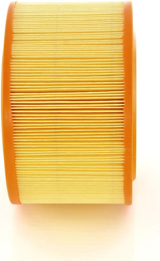 Detalle 2 de Bosch S9125 — Filtre à air auto