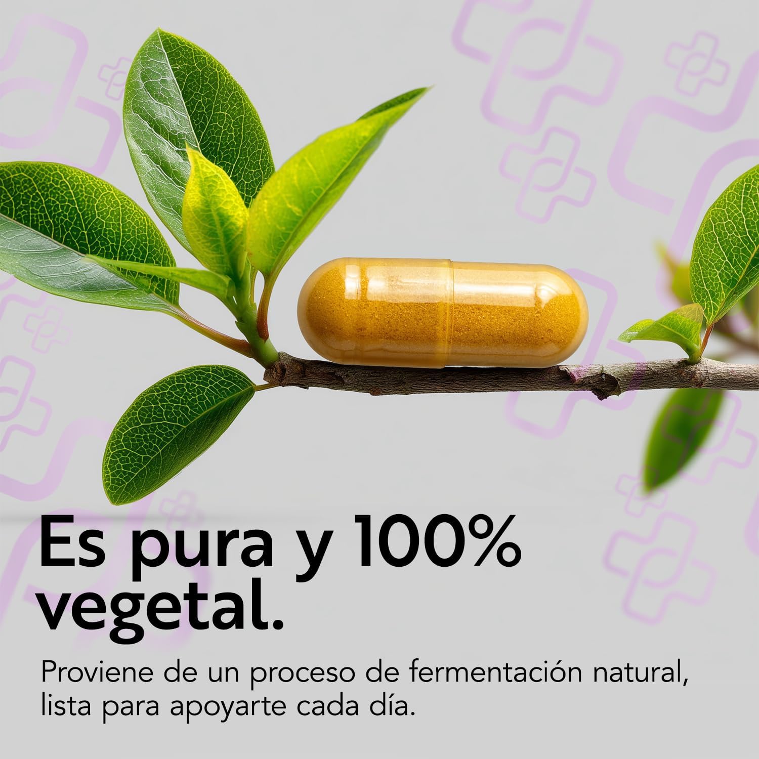 Detalle 2 de Coenzima Q10 PiùLife 200 mg 120 cápsulas