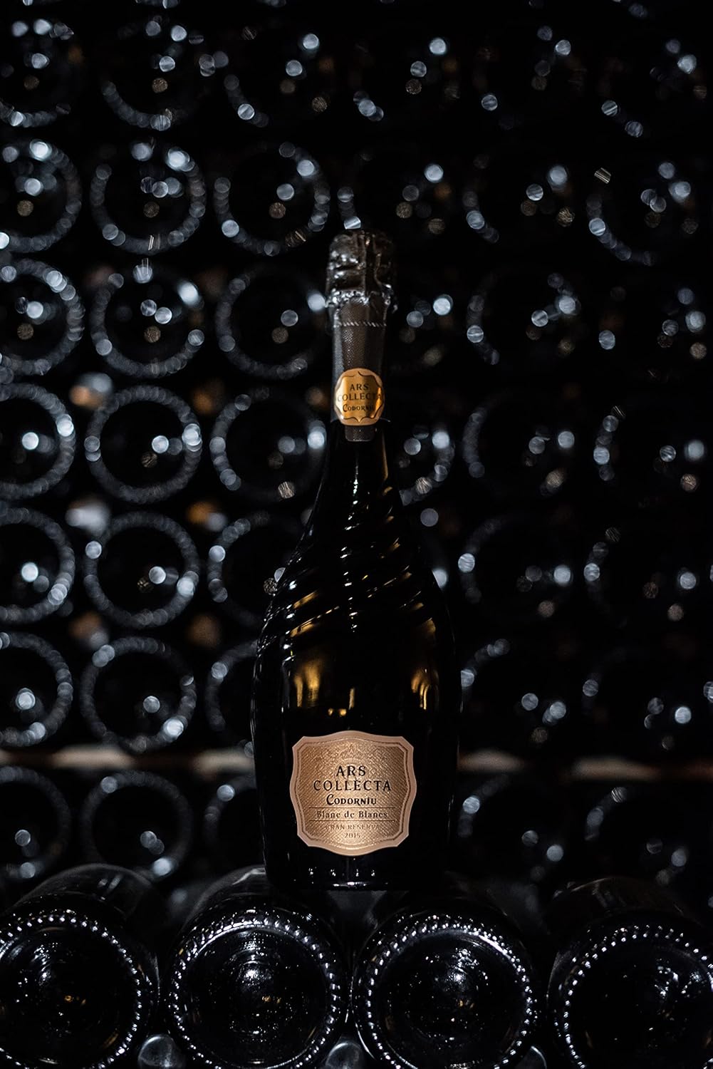 Detalle 2 de Codorniu Ars Collecta Blanc de Blancs Cava Reserva 0.75L 🥂