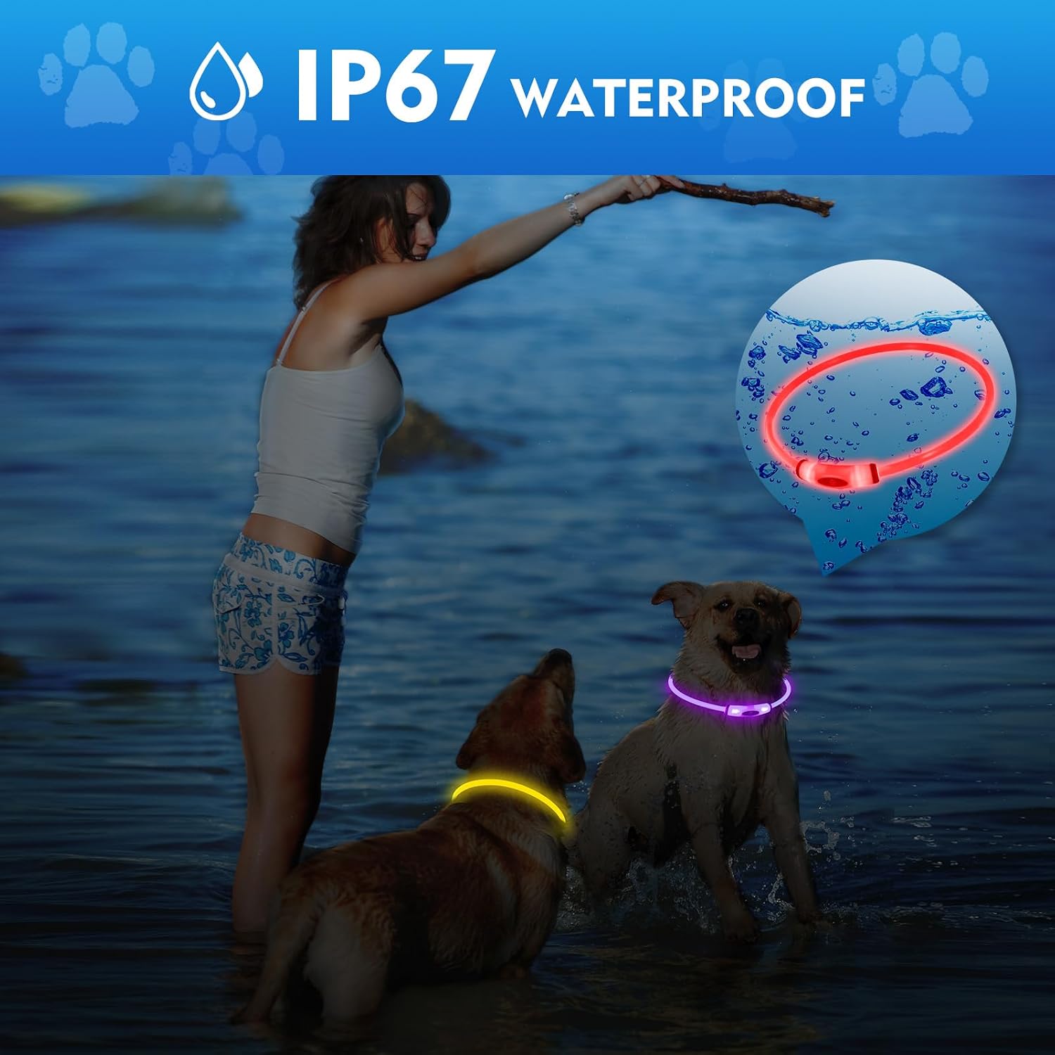 Detalle de NOVKIN Lighted Dog Collar