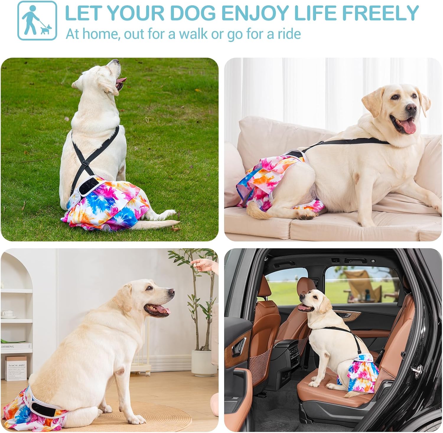 Thumbnail 4 de Avont 3er-Pack wiederverwendbare Hundewindeln mit abnehmbaren Trägern