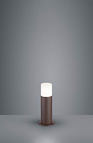Detalle 2 de HOOSIC Trio Lighting E27 lámpara