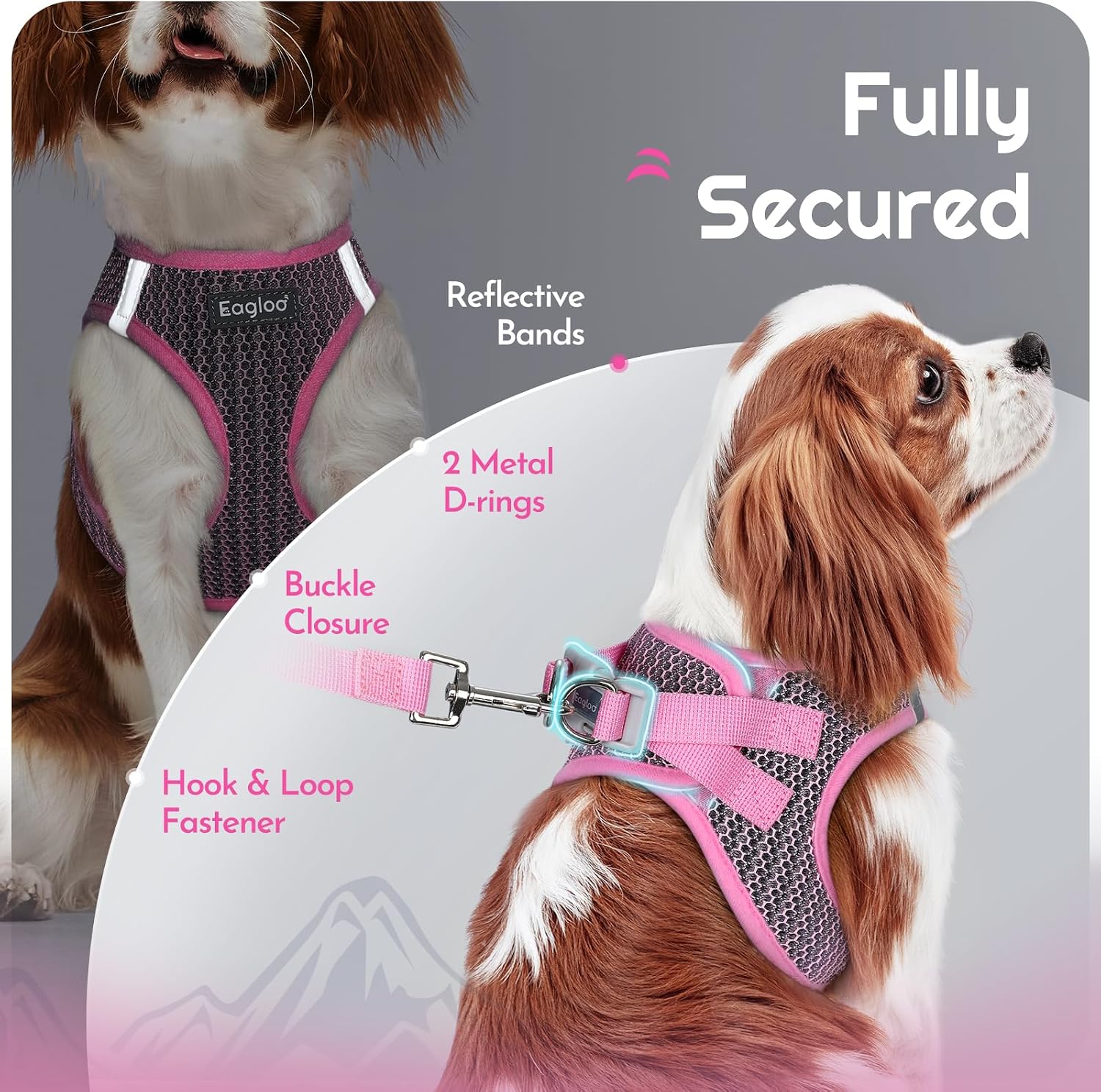 Thumbnail 6 de Eagloo Small Dog Harness XXS