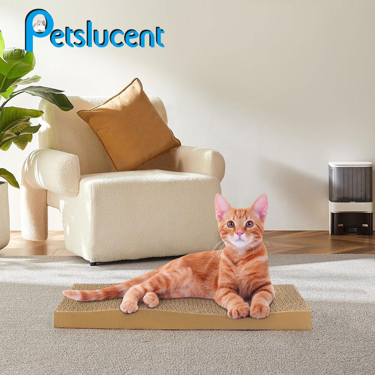 Detalle 2 de Petslucent Cat Scratching Board 4PCS