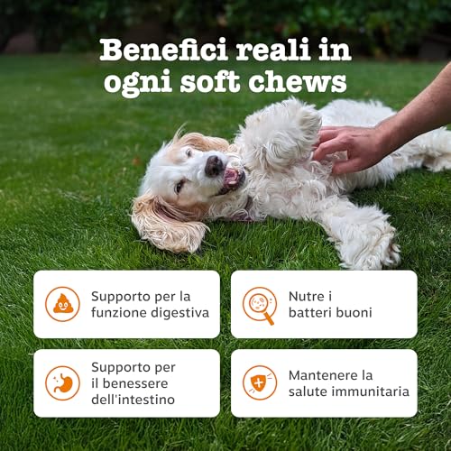 Detalle de Zesty Paws Probiotici per Cani – 90 Bocconcini: benessere digestivo e supporto immunitario