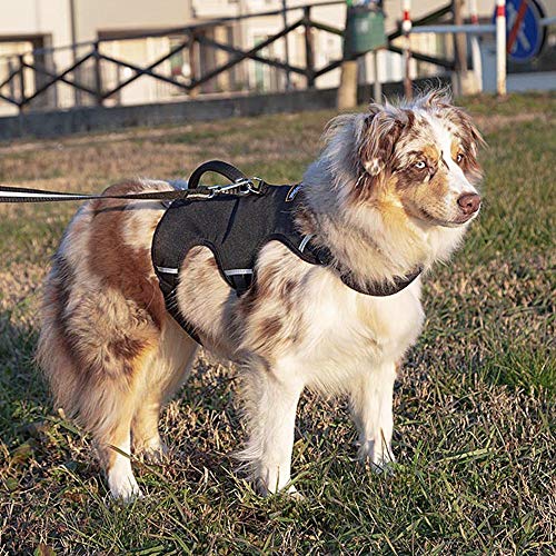 Detalle 2 de Ferplast Harnais Grand Chien ERGOTREKKING LARGE, anti-évasion, 6 fermetures ⚙