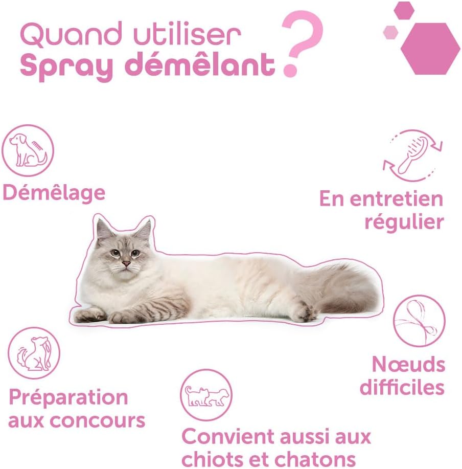 Thumbnail 6 de MP Labo Spray Démêlant Beurre de Karité 200 ML