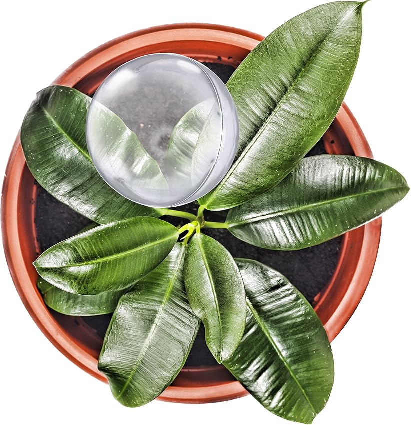 Detalle 1 de Relaxdays 9 Globos de riego 250 ml para plantas