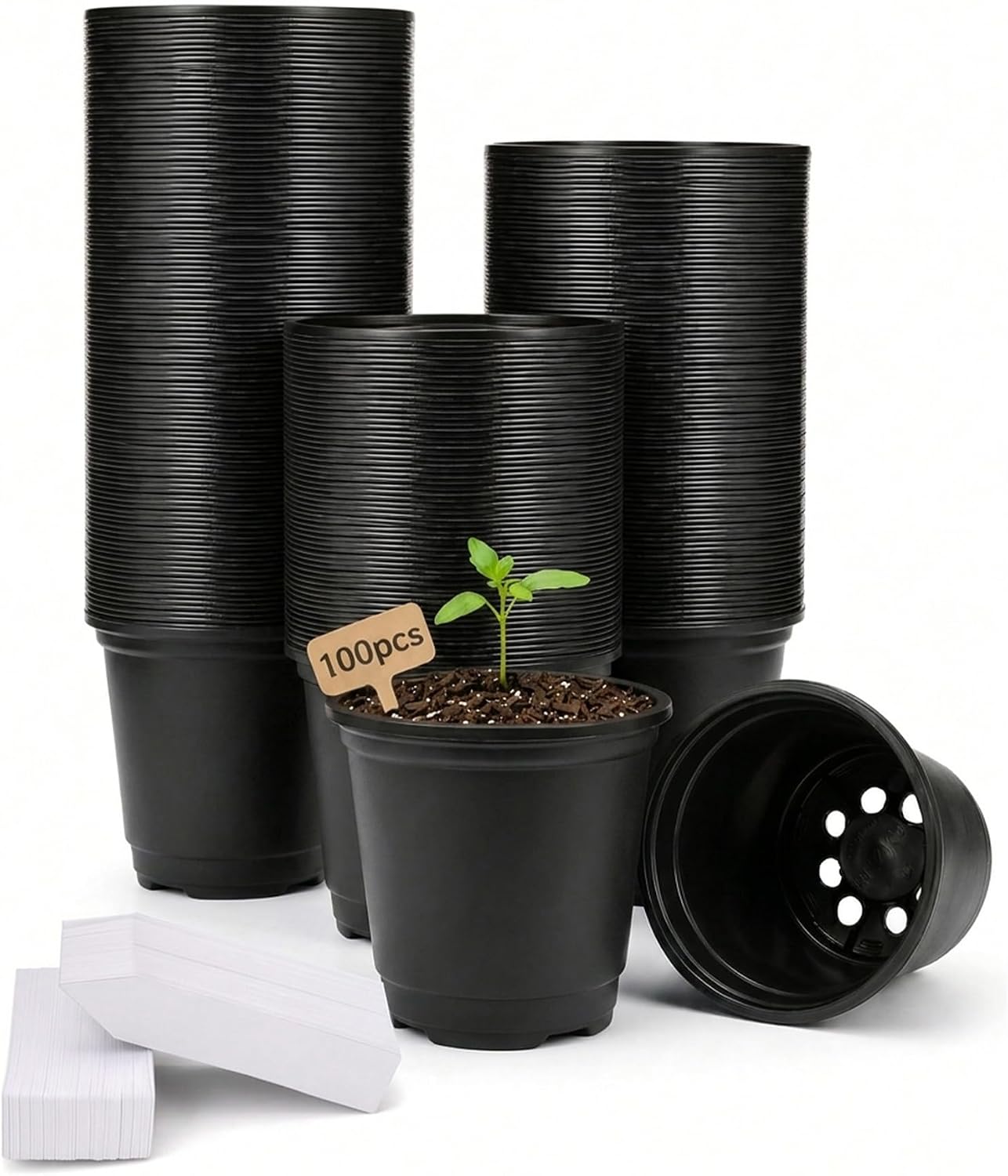 Detalle de Bamworld 4-Inch Nursery Pots, 100-Pack with Drainage Holes