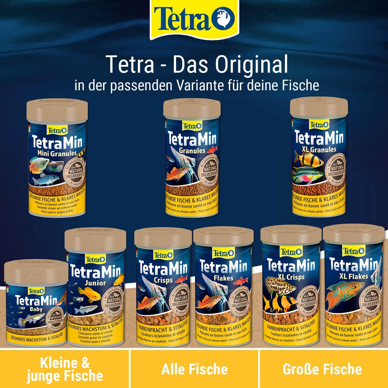 Thumbnail 6 de TetraMin Crisps – Fischfutter für alle Zierfische, 500 ml Dose