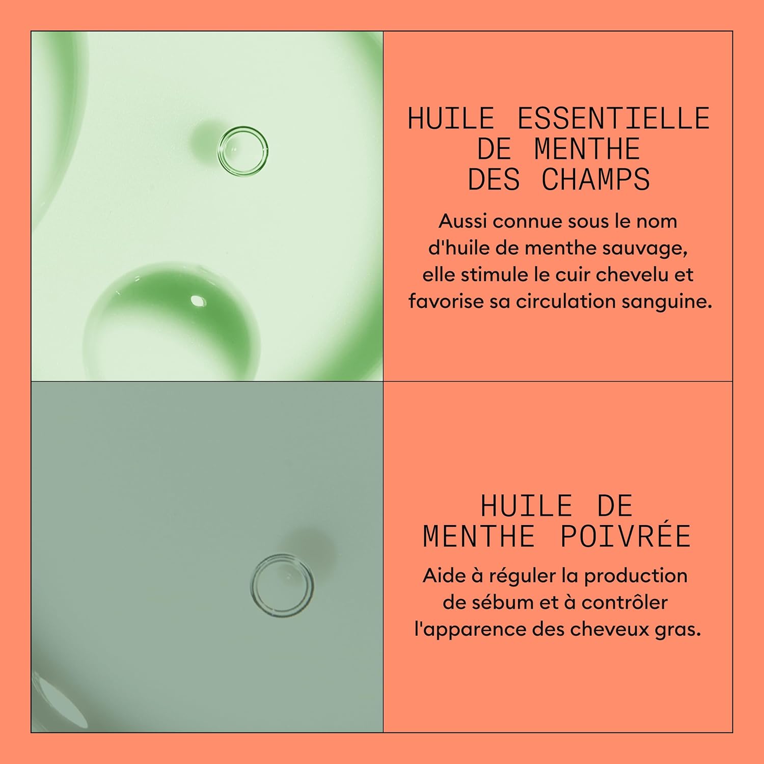 Thumbnail 4 de NIOXIN System 4 – Kit shampoing, après-shampoing et soin du cuir chevelu pour cheveux colorés, secs, abîmés
