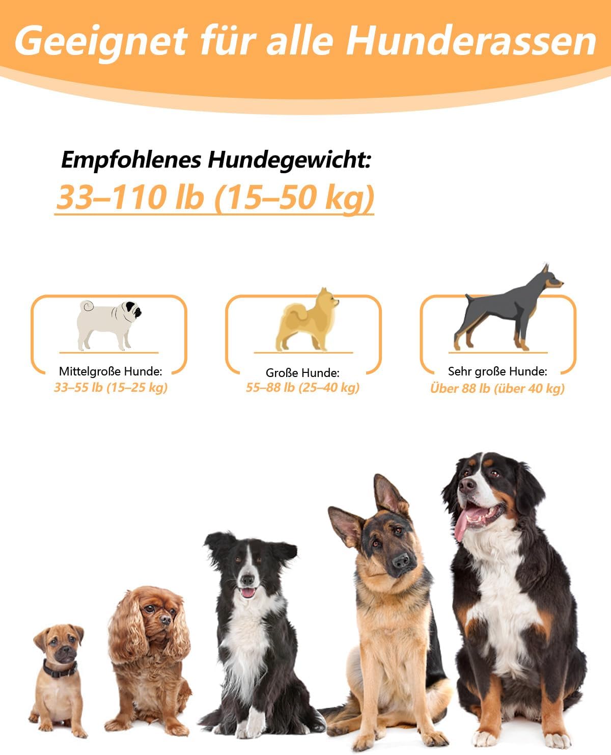 Detalle 2 de WANFIRE Freihandleinen Hundeleine für Große bis Mittelgroße Hunde – 1,8–2,9 m mit Sicherheitsgurt und Reflektoren