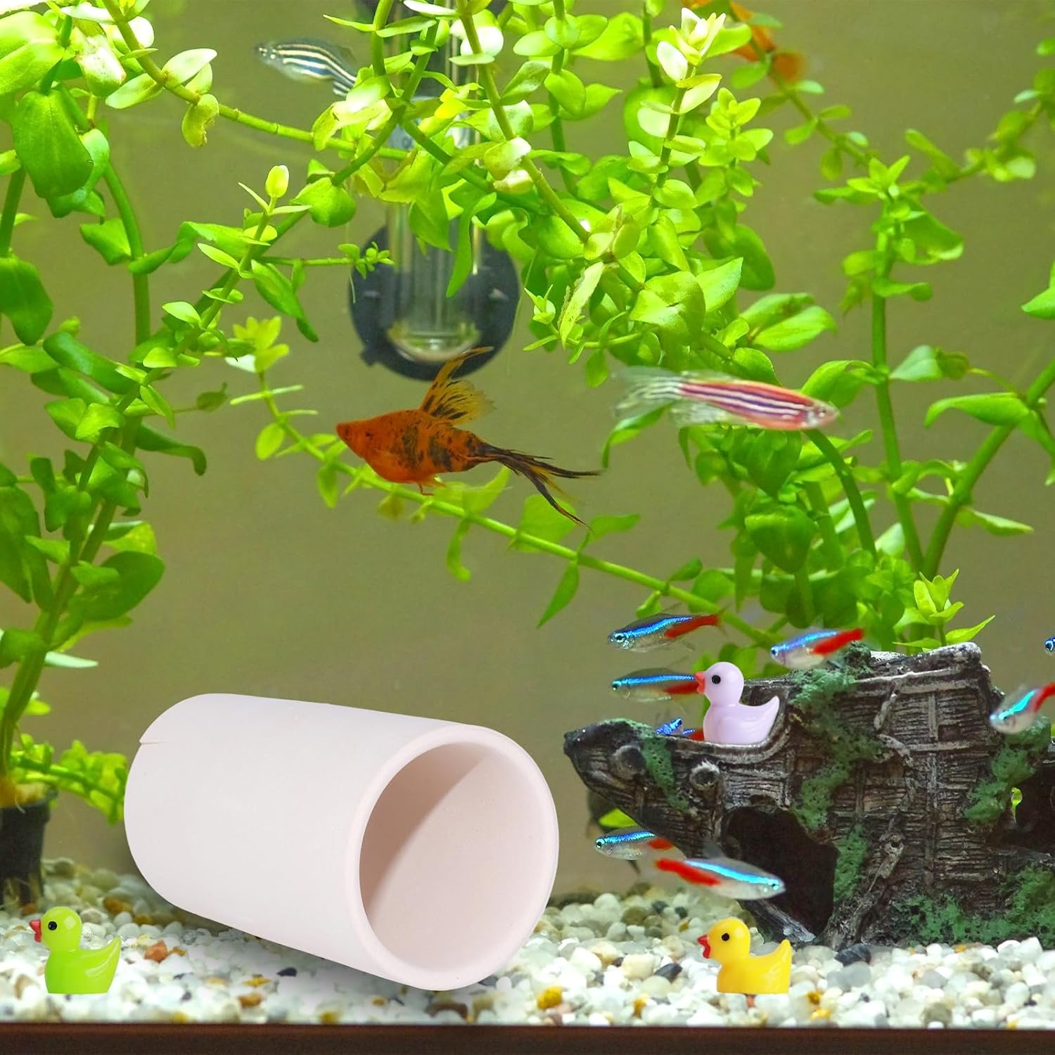 Thumbnail 6 de MC MEICHUANG Ceramic Shrimp Breeding Cave, 1-Tube Aquarium Shelter