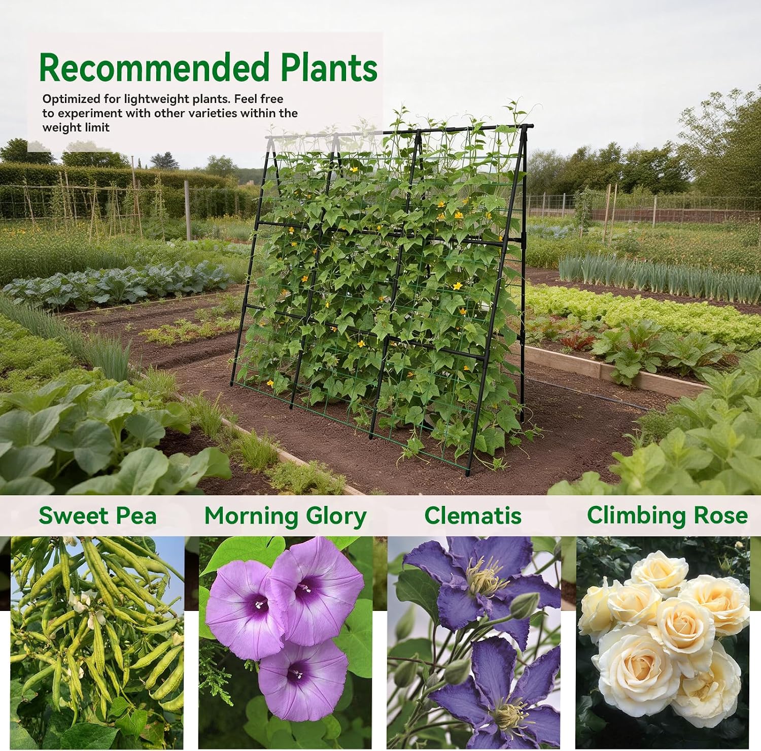 Detalle de Trellume TL-PTJ-030-TR A-Frame Garden Trellis, 49.4-Inch Steel, Black
