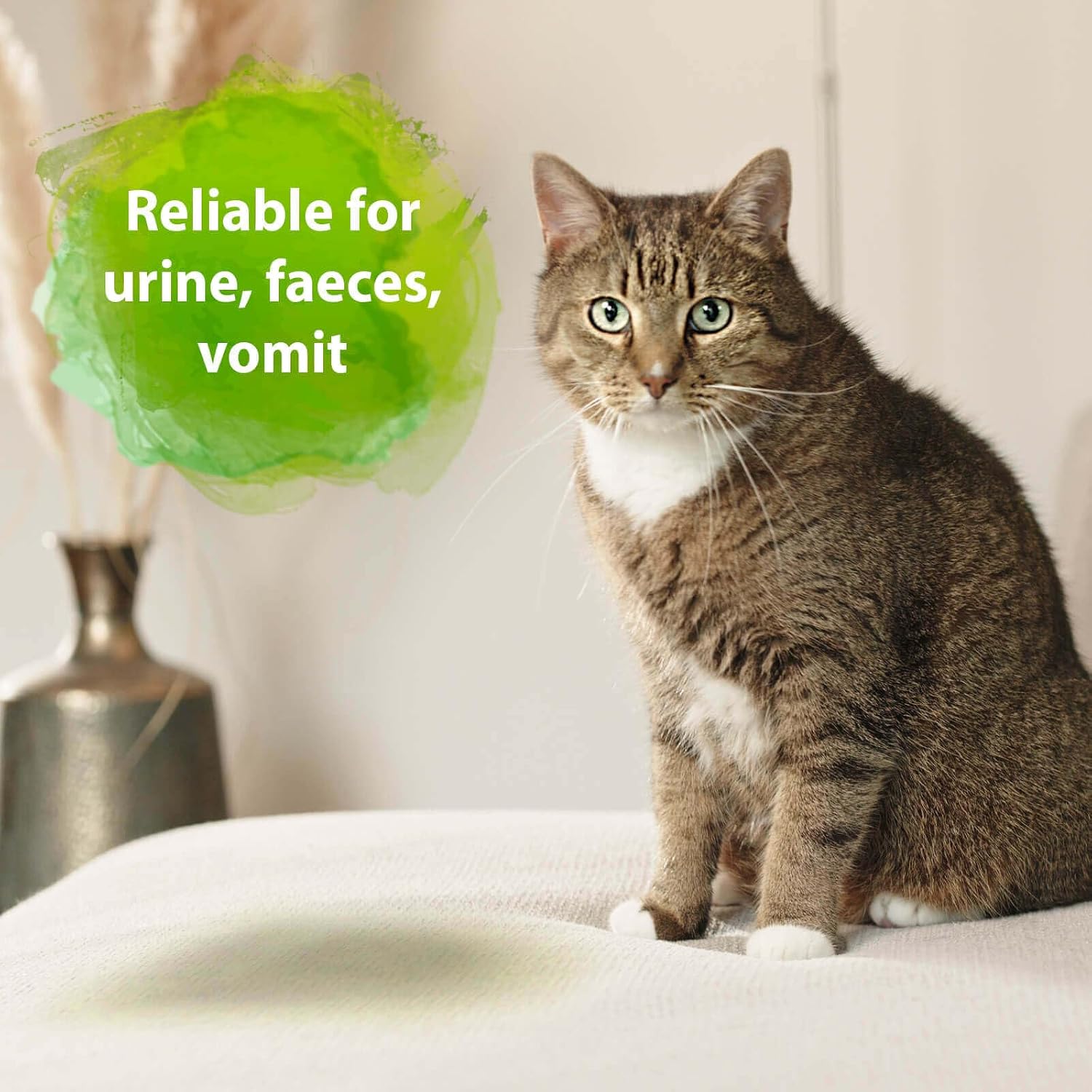 Detalle 2 de Bactador Antiodore Microbiologico per Cassette Igieniche 500 ml – Detergente enzimatico contro l’urina di gatto e odori animali