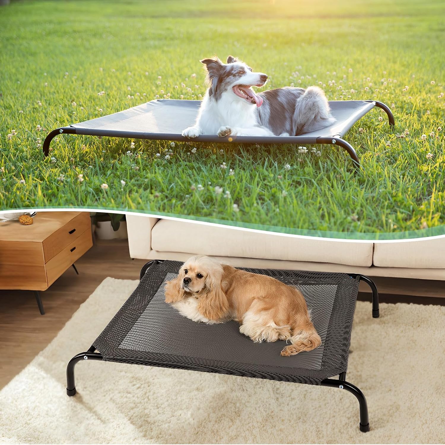 Thumbnail 3 de SIEMOUR Elevated Dog Bed, X-Large