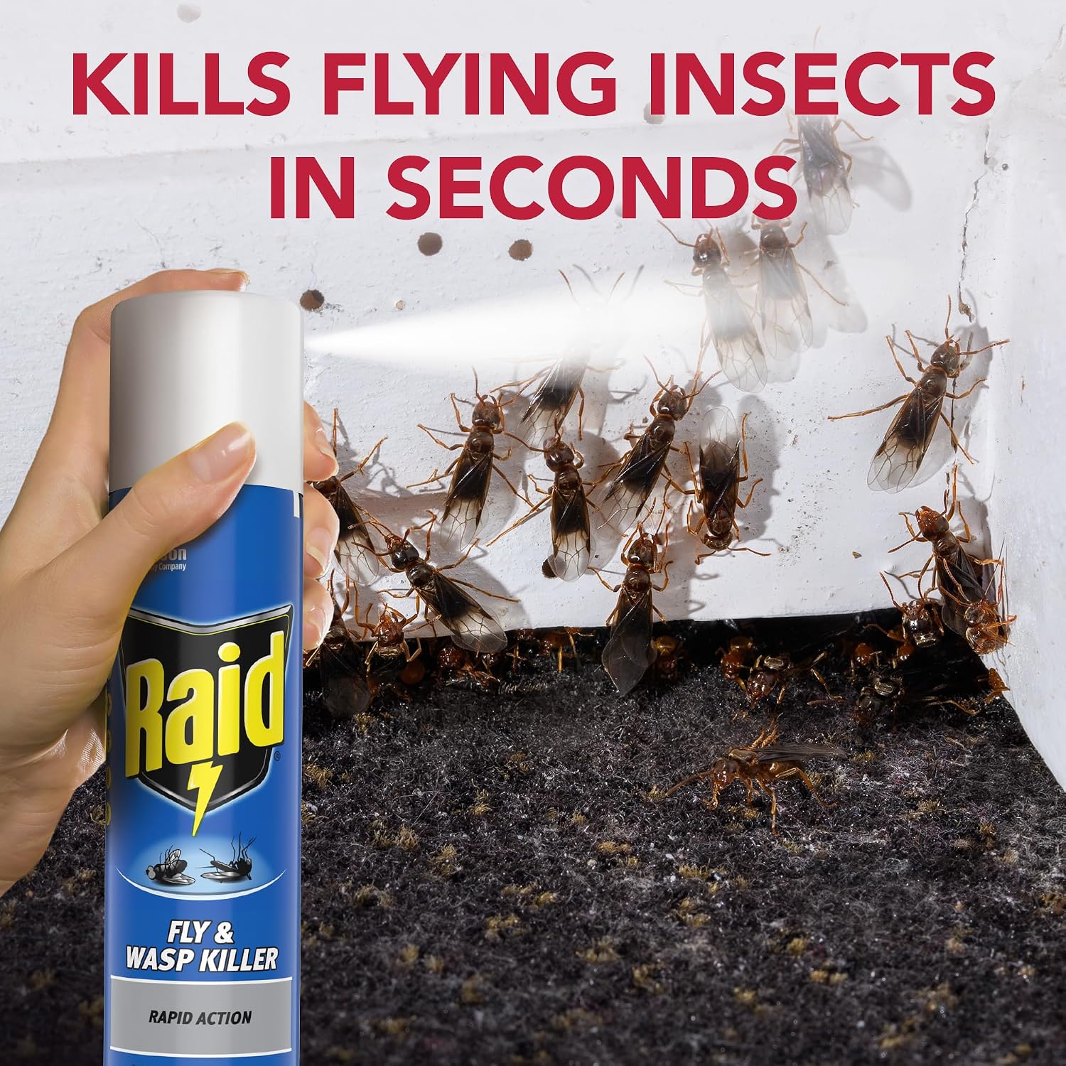 Thumbnail 1 de Raid Rapid Action Fly & Wasp Killer – Indoor Spray, Pack of 6 x 300ml