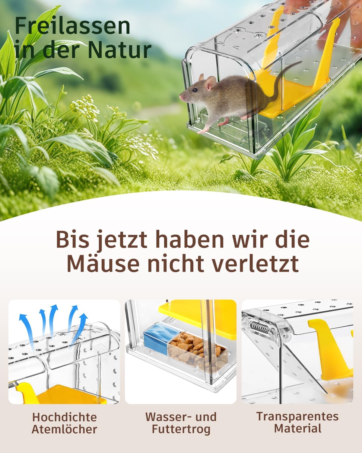 Thumbnail 2 de KENNEAS Mausefalle Lebend 4er Pack 7×7,2 cm 🐭